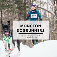 Moncton DogRunners