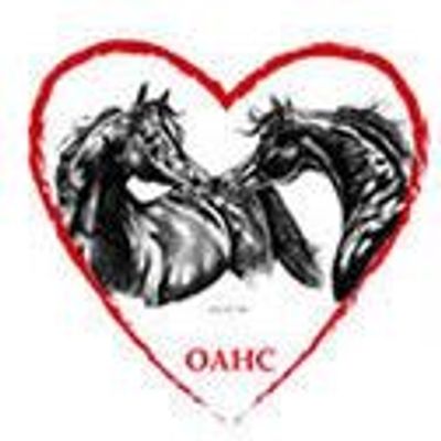 Orlando Arabian Horse Club