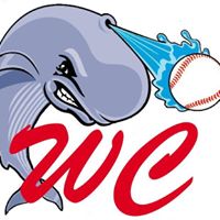 Whaling City Youth Baseball League