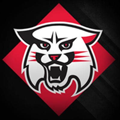 Davidson Wildcats