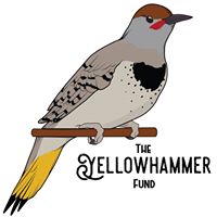 Yellowhammer Fund