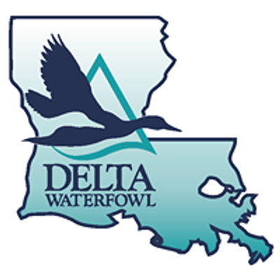 Louisiana Delta Waterfowl