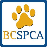 BC SPCA Surrey Education & Adoption Centre