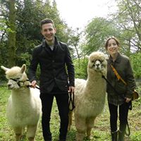 Charnwood Forest Alpacas & Chilli Bean Cafe
