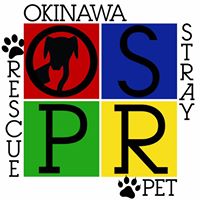 Okinawa Stray Pet Rescue