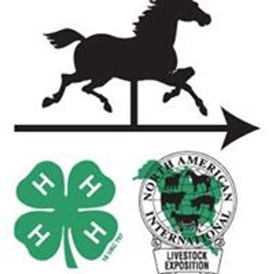 Eastern National 4-H Horse Round-Up