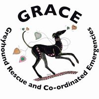 Greyhound Rescue And Co-ordinated Emergencies