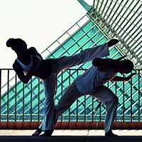 Capoeira Nag\u00f4 Milwaukee