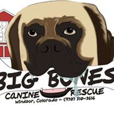 Big Bones Canine Rescue