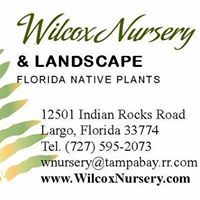 Wilcox Nursery and Landscape