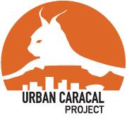 Urban Caracal Project, Cape Town, South Africa