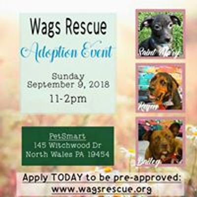 Wags Rescue & Referral