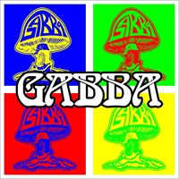 The Georgia Allman Brothers Band Association -  GABBA