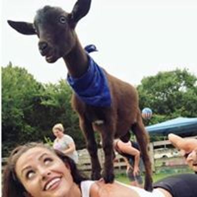 Goat Yoga Nashville