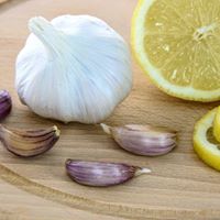 Reno Garlic Fest