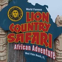 Lion Country Safari