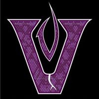 Space Coast Vipers Baseball and Softball