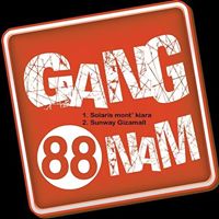 Gangnam88
