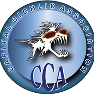 Capital Cichlid Association