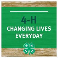 Muscatine County 4-H