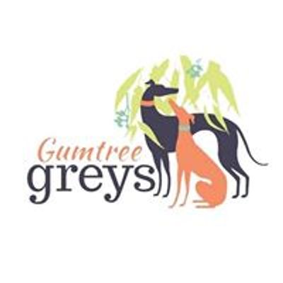 Gumtree Greys