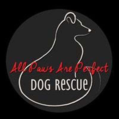 All Paws Are Perfect Rescue