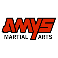 AMYS Martial Arts - Draper