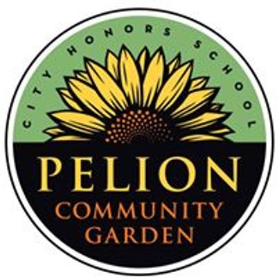 Pelion Community Garden at City Honors School