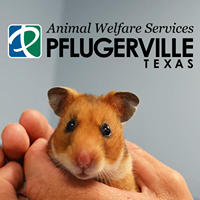 Pflugerville Animal Shelter