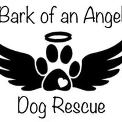 Bark of an Angel Dog Rescue