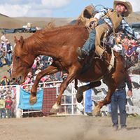 Omeo Rodeo