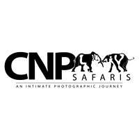 CNP Safaris