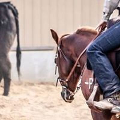 Cal Poly Performance Horse Sale