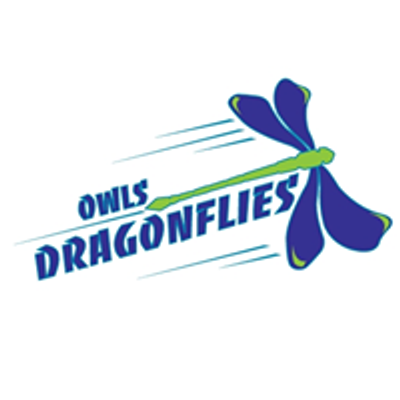 OWLS Dragonflies