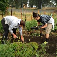 Lincoln High School (Tacoma) Plant Sale