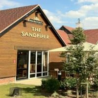 The Sandpiper