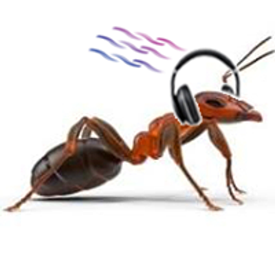Ants Don't Sleep