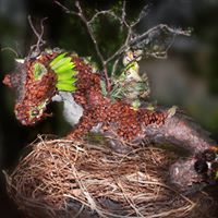 Fairy House Tour in Portsmouth, NH