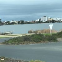 Waikato Treasure Chests