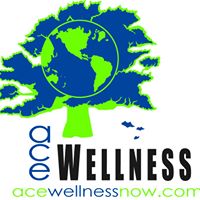 ACE Wellness at Lil Busy Bodies Play Gym