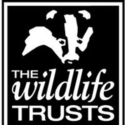 Taunton Wildlife Watch