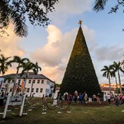 Delray Beach 100ft Christmas Tree