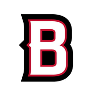 Bethany Lutheran College Vikings