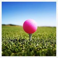 Paola Ladies Golf Association