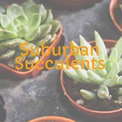 Suburban Succulents