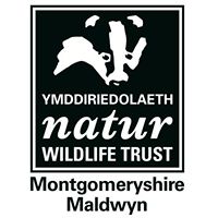 Dyfi Wildlife Centre, Cors Dyfi Reserve & Observatory