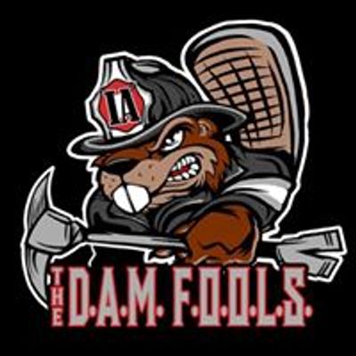 The Des Moines Area Metro- DAM FOOLS