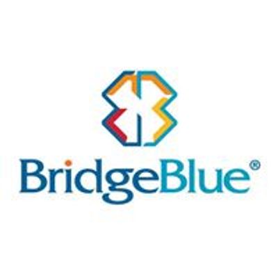 BridgeBlue Bangladesh