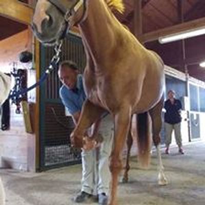 American Association of Equine Therapists and Technicians