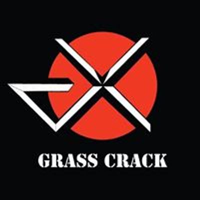 Grass Crack